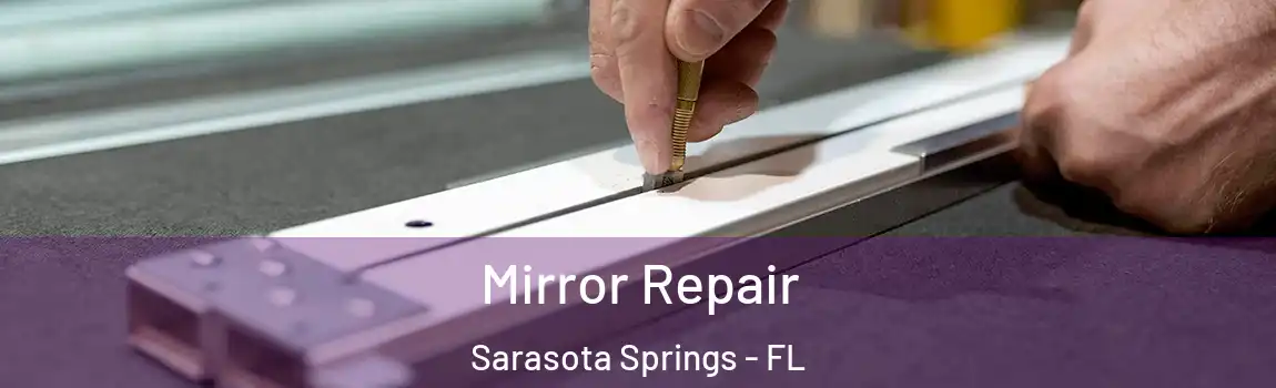  Mirror Repair Sarasota Springs - FL
