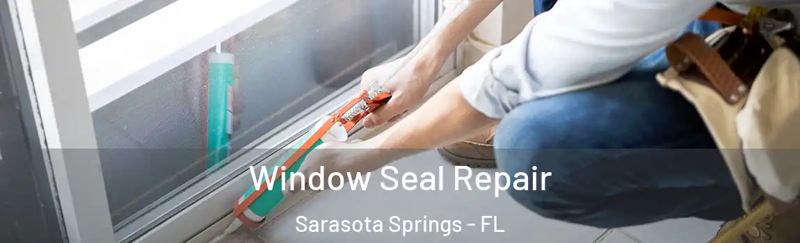  Window Seal Repair Sarasota Springs - FL